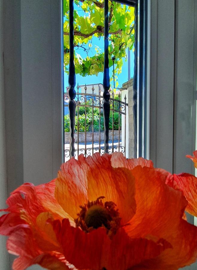 Casa Isabella B&B Koper Luaran gambar